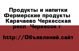 Продукты и напитки Фермерские продукты. Карачаево-Черкесская респ.,Черкесск г.